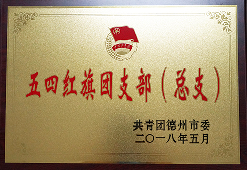 星空在线官网_星空在线（中国）
荣获“德州市五四红旗团支部”荣誉称号